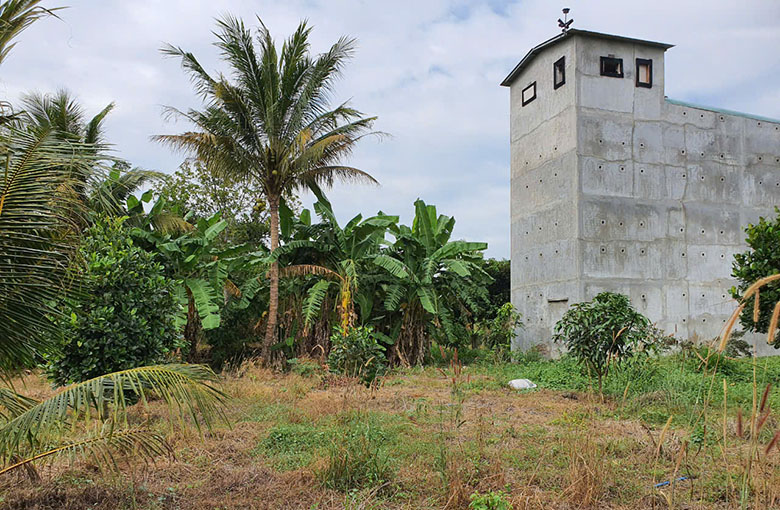 Về trang trại